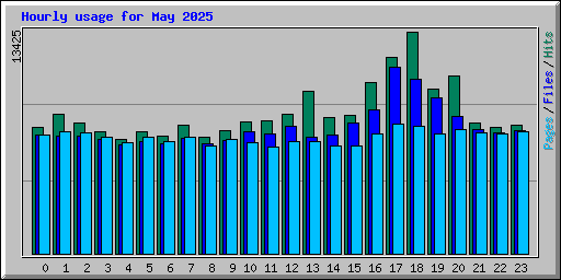 Hourly usage for May 2025
