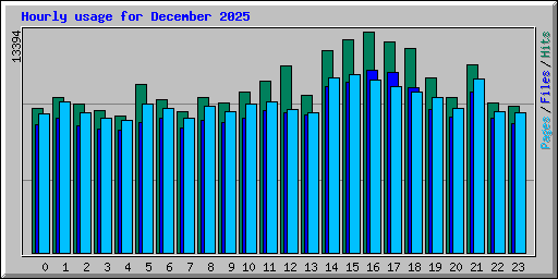 Hourly usage for December 2025