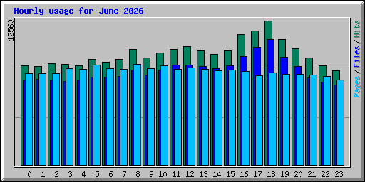 Hourly usage for June 2026